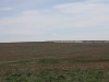 IMG_1003_resize