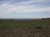 IMG_1009_resize