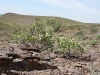 IMG_1078_resize