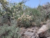 IMG_1125_resize