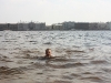IMG_3980_resize